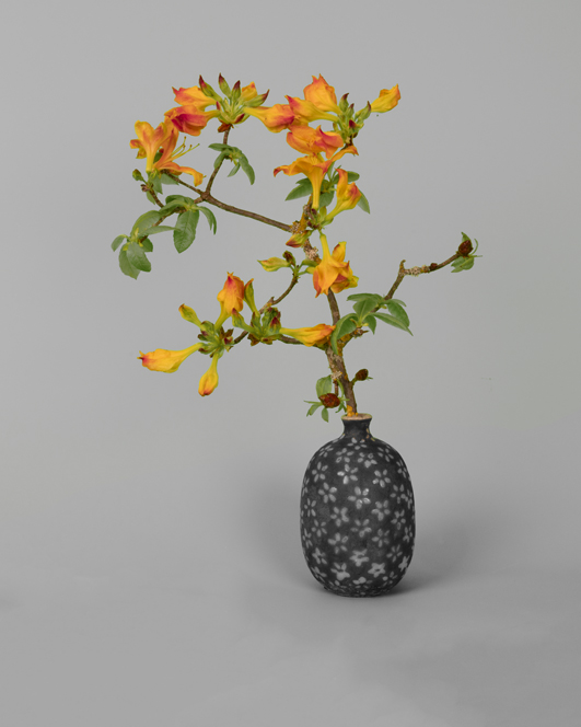 Zen.nl, Zen, meditatie, leren mediteren, foto